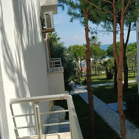 Rana E Hedhun Llugani Lezhë